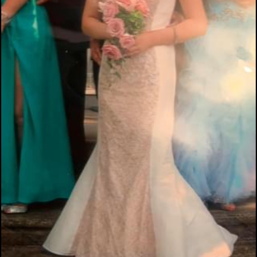 Prom/Ball/Wedding Jovani Dress and Shoes - Picture 3 of 3